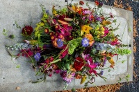kleurrijke_groet-1