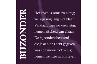 bijzonder