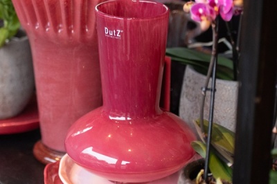 dutz_buikvaas_framboos