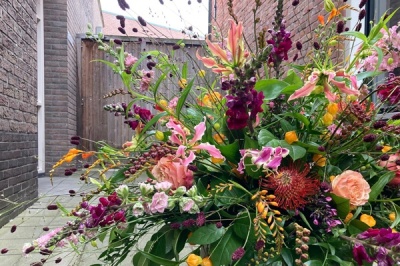 veldtuin
