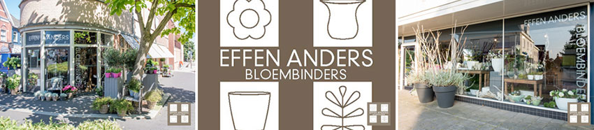 10 jaar Effen Anders Bloembinders