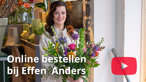 online bestellen bij effen anders